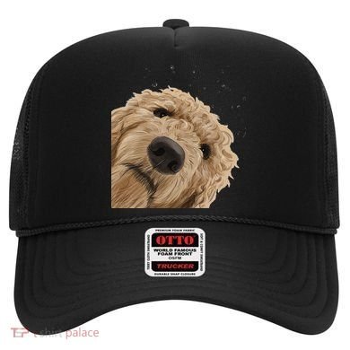 Funny Curious Dog Labradoodle Hat