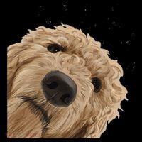 Funny Curious Dog Labradoodle Kids Sweatshirt thumb 2