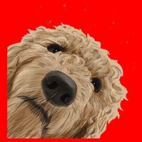 Funny Curious Dog Labradoodle Santa Hat thumb 1