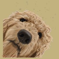 Funny Curious Dog Labradoodle Hoodie thumb 7