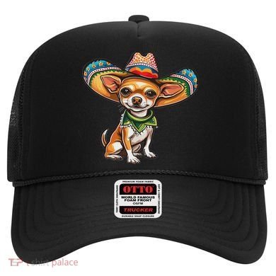 Funny Cinco De Mayo Chihuahua Hat