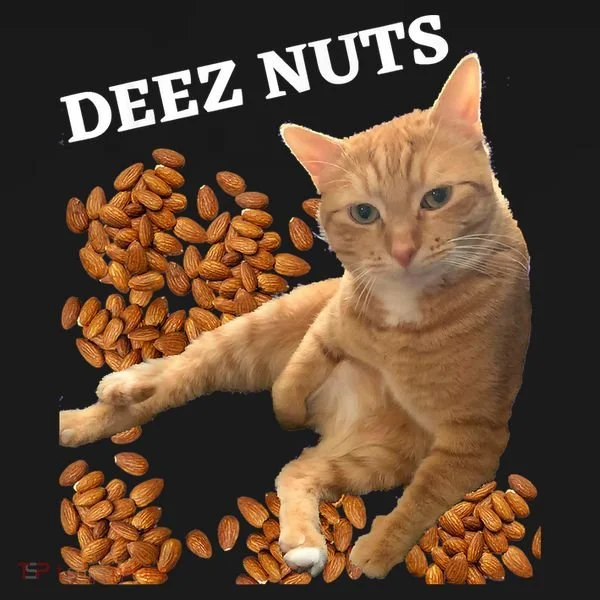 Funny Cat Deez Nuts Joke Doggie Tank