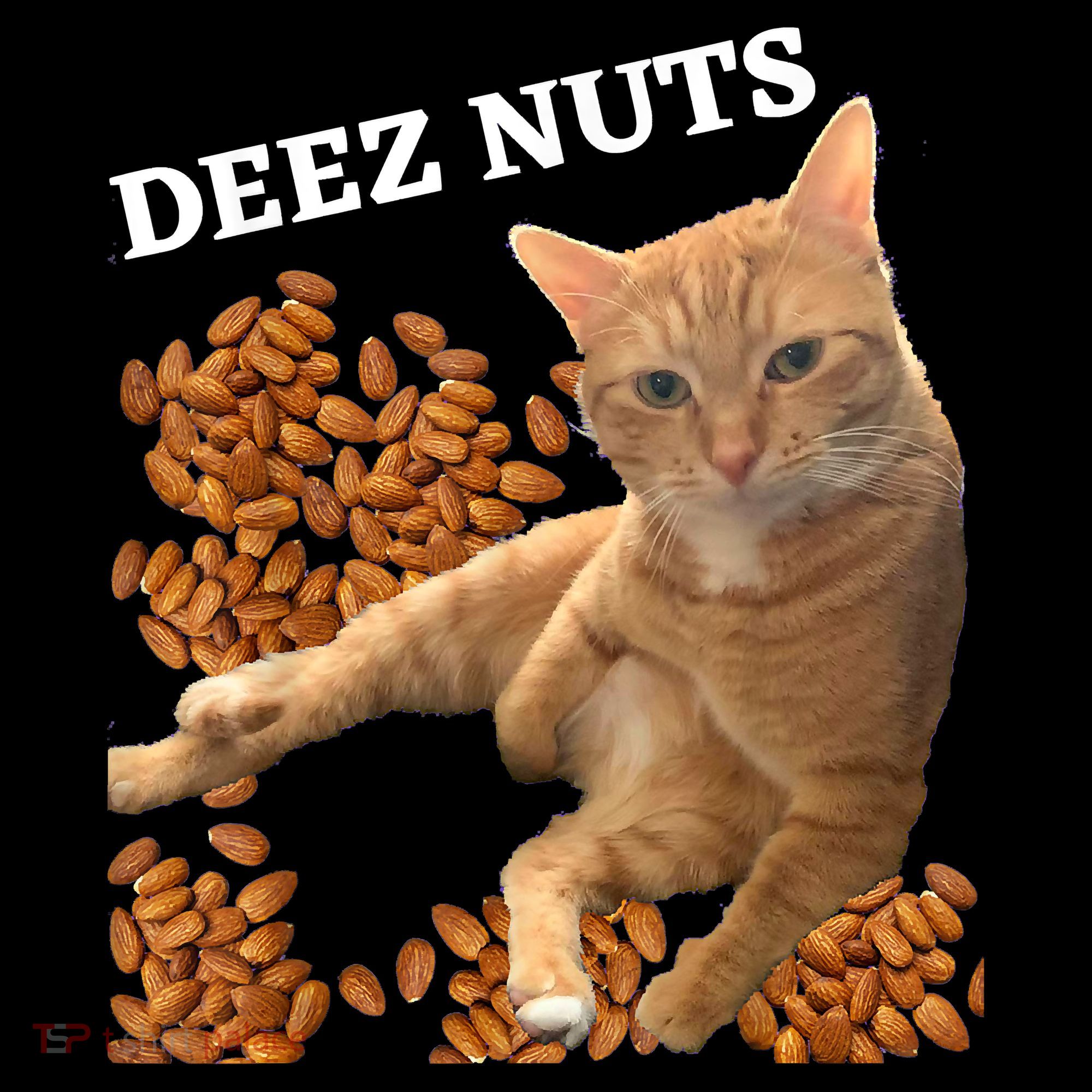 Funny Cat Deez Nuts Joke Visor