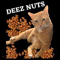 Funny Cat Deez Nuts Joke Kids T-Shirt thumb 4