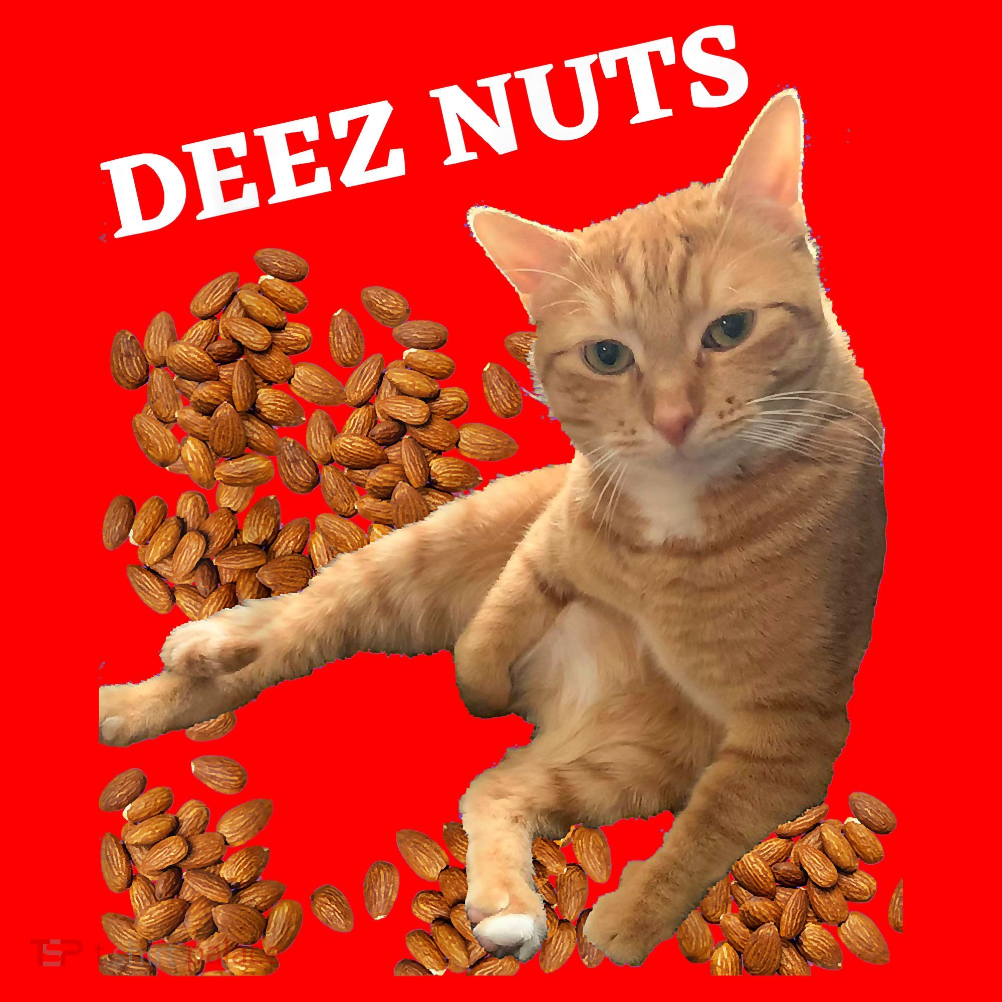 Funny Cat Deez Nuts Joke Santa Hat