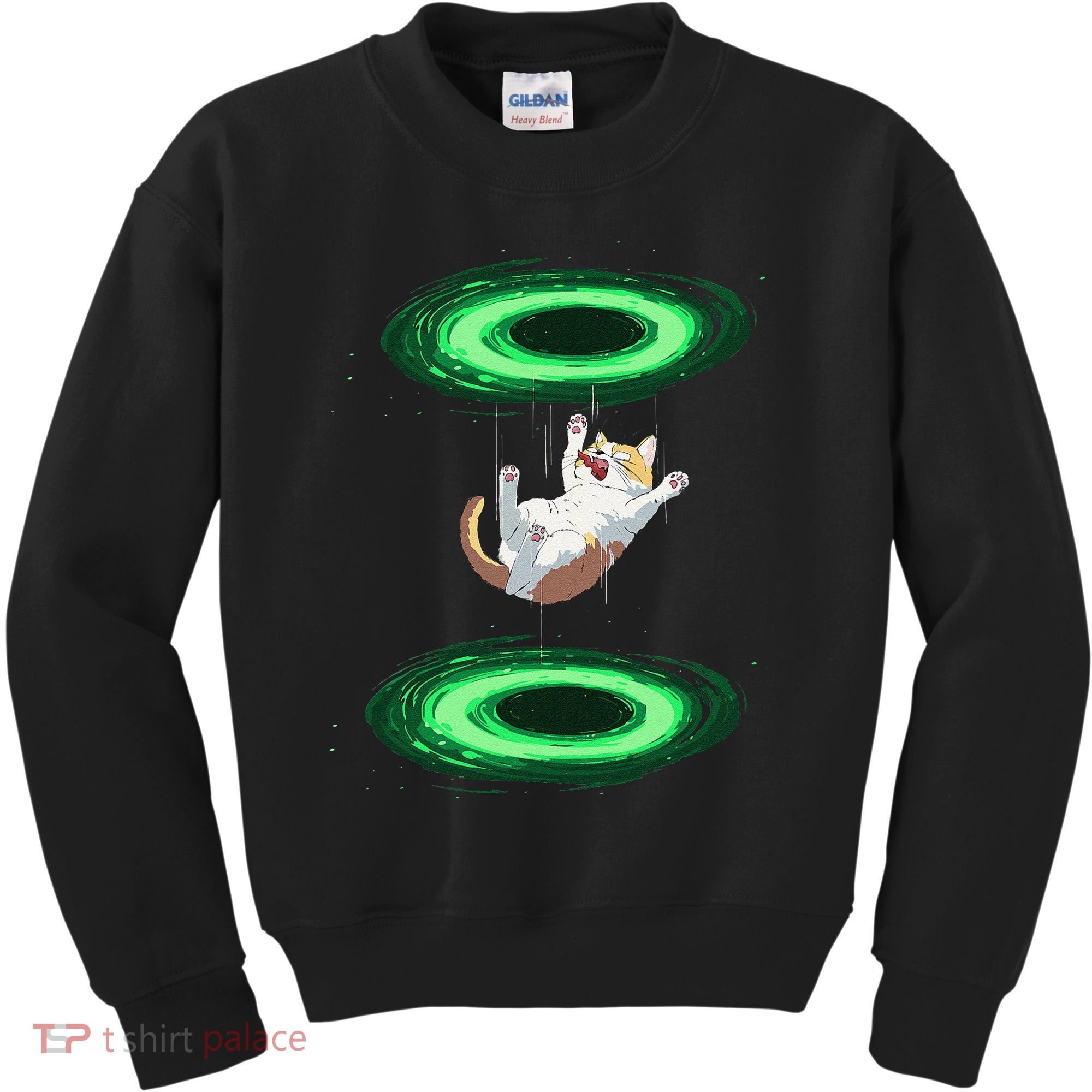 Funny Cat Falls Through Portal For Kitten And Cats Lovers Kids Sweatshirt