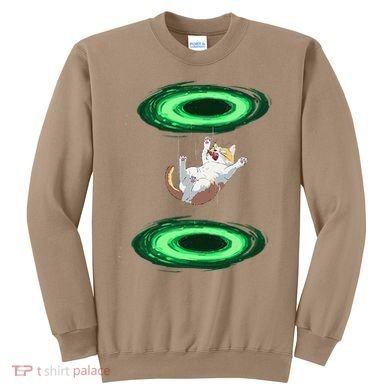 Funny Cat Falls Through Portal For Kitten And Cats Lovers Sweatshirt
