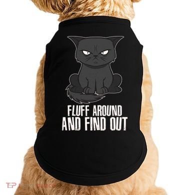 Funny Cat Fluff Around And Find Out Doggie Tank