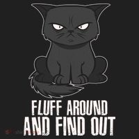 Funny Cat Fluff Around And Find Out Beanie thumb 2