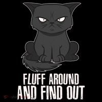 Funny Cat Fluff Around And Find Out Women's Tank Top thumb 5