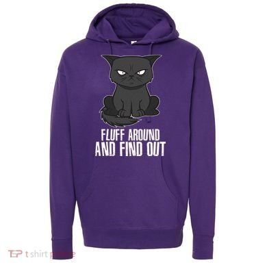 Funny Cat Fluff Around And Find Out Hoodie