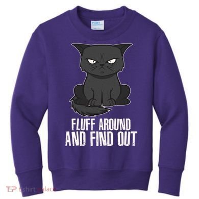 Funny Cat Fluff Around And Find Out Kids Sweatshirt
