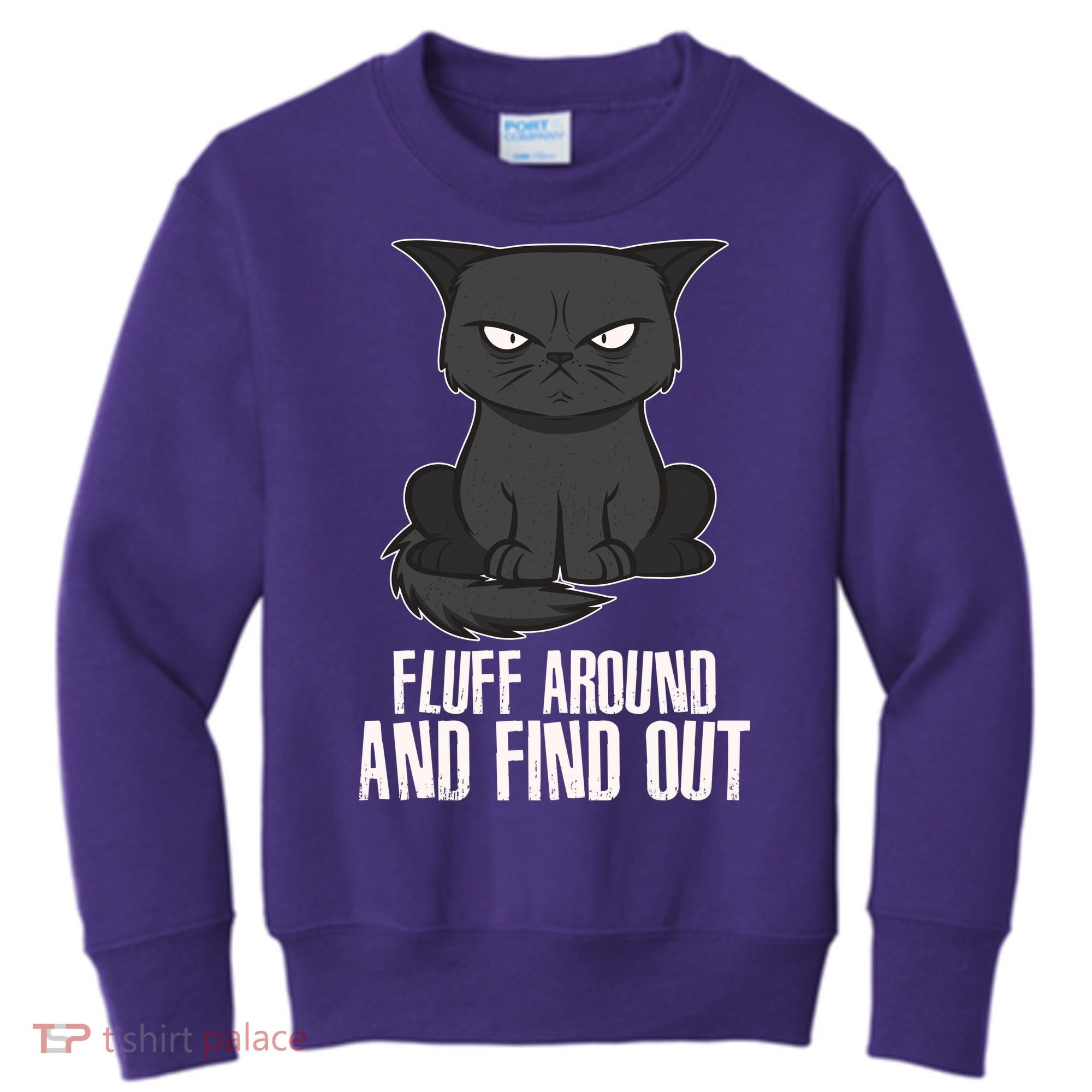 Funny Cat Fluff Around And Find Out Kids Sweatshirt