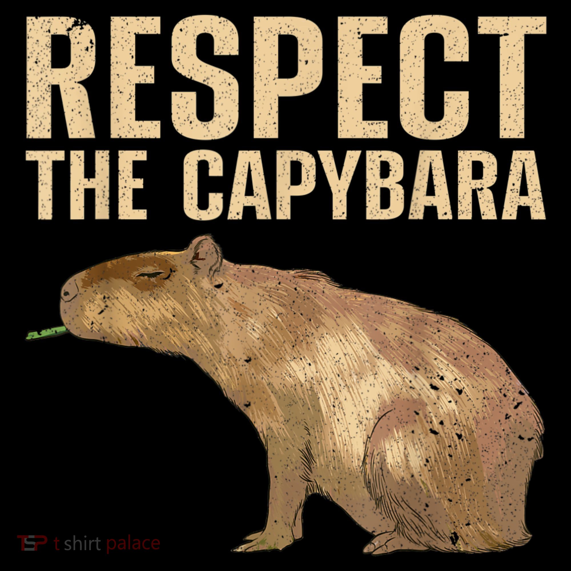 Funny Capybara For Women Cavy Rodent Capybara Lover Long Sleeve Shirt