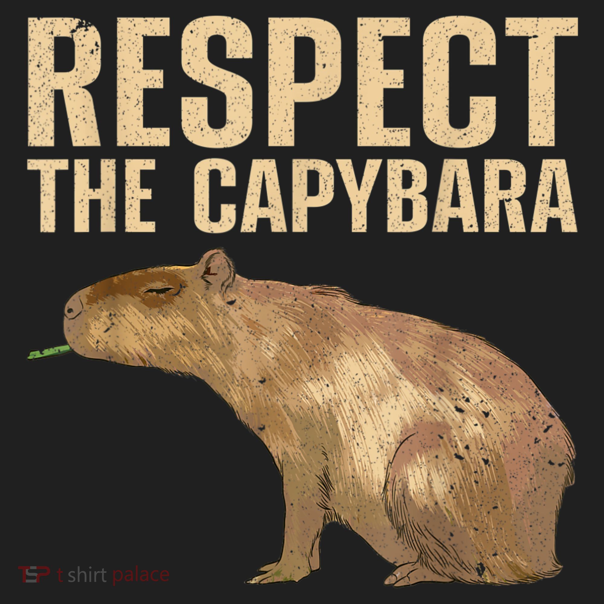 Funny Capybara For Women Cavy Rodent Capybara Lover Beanie