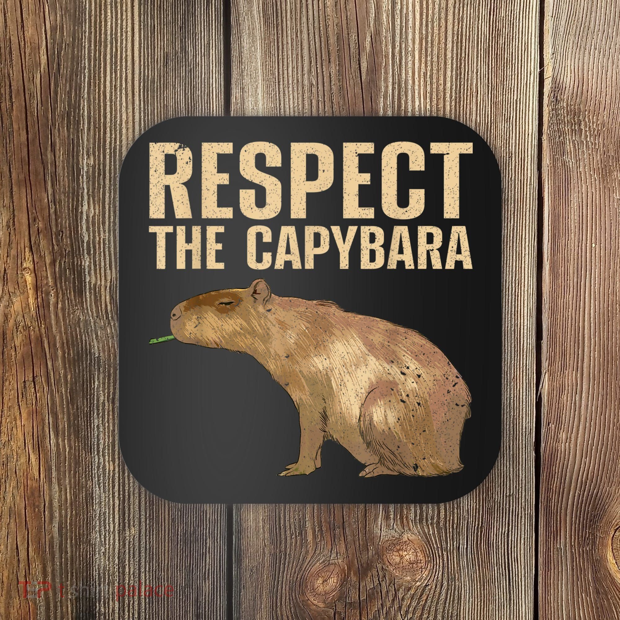 Funny Capybara For Women Cavy Rodent Capybara Lover Coaster