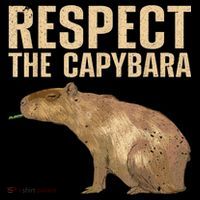 Funny Capybara For Women Cavy Rodent Capybara Lover Ornament thumb 1