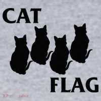 Funny Cat Flag Hardcore Music Parody Women's Sweatshirt thumb 2