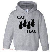 Funny Cat Flag Hardcore Music Parody Toddler Hoodie thumb 0