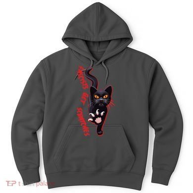 Funny Cat Fascists Get Scratches Hoodie