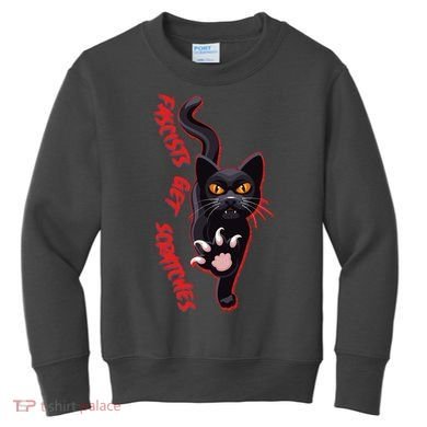 Funny Cat Fascists Get Scratches Kids Sweatshirt