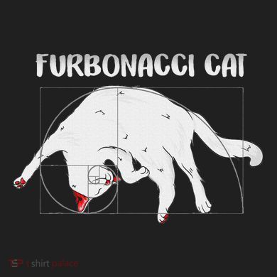 Furbonacci Cat Funny Cat Math Puns Comfort Colors Heavyweight Long Sleeve T-Shirt