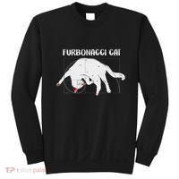 Furbonacci Cat Funny Cat Math Puns Sweatshirt thumb 0