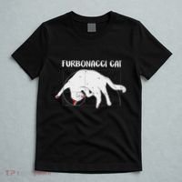 Furbonacci Cat Funny Cat Math Puns T-Shirt thumb 5