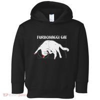 Furbonacci Cat Funny Cat Math Puns Toddler Hoodie thumb 0