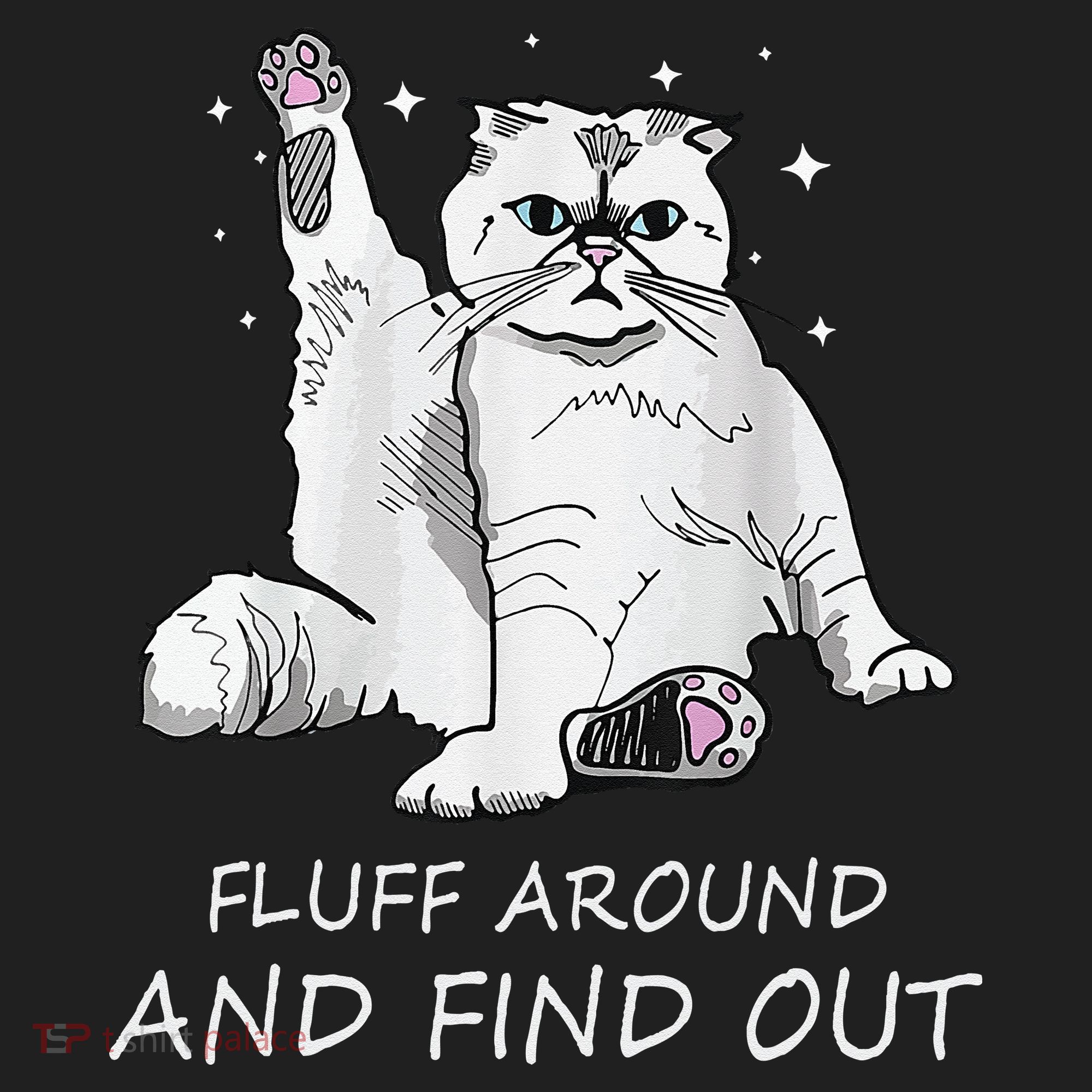 Funny Cat Fluff Around And Find Out Women's Sweatshirt