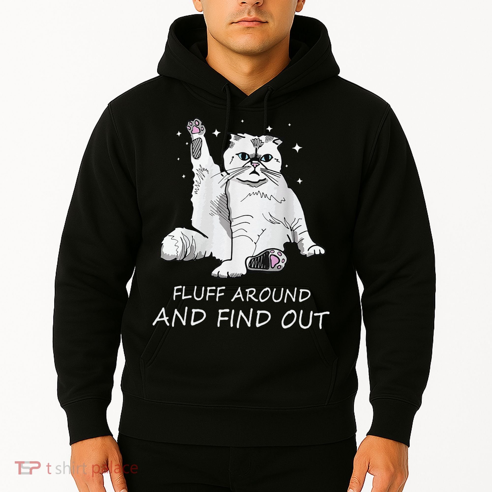Funny Cat Fluff Around And Find Out Hoodie