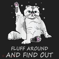 Funny Cat Fluff Around And Find Out Beanie thumb 2