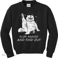 Funny Cat Fluff Around And Find Out Kids Sweatshirt thumb 0