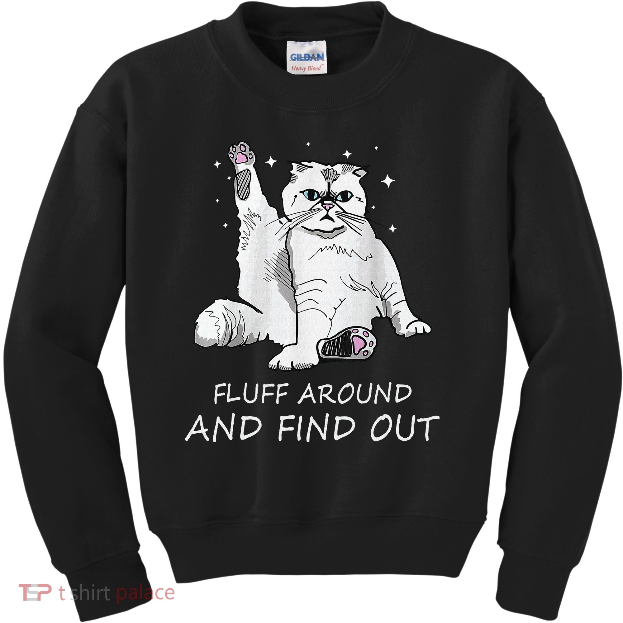 Funny Cat Fluff Around And Find Out Kids Sweatshirt