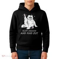 Funny Cat Fluff Around And Find Out Kids Hoodie thumb 4