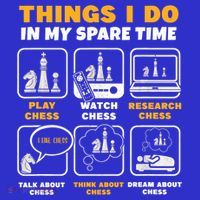 Funny Chess Gift For Players Things I Do In My Spare Time Sweatshirt thumb 3