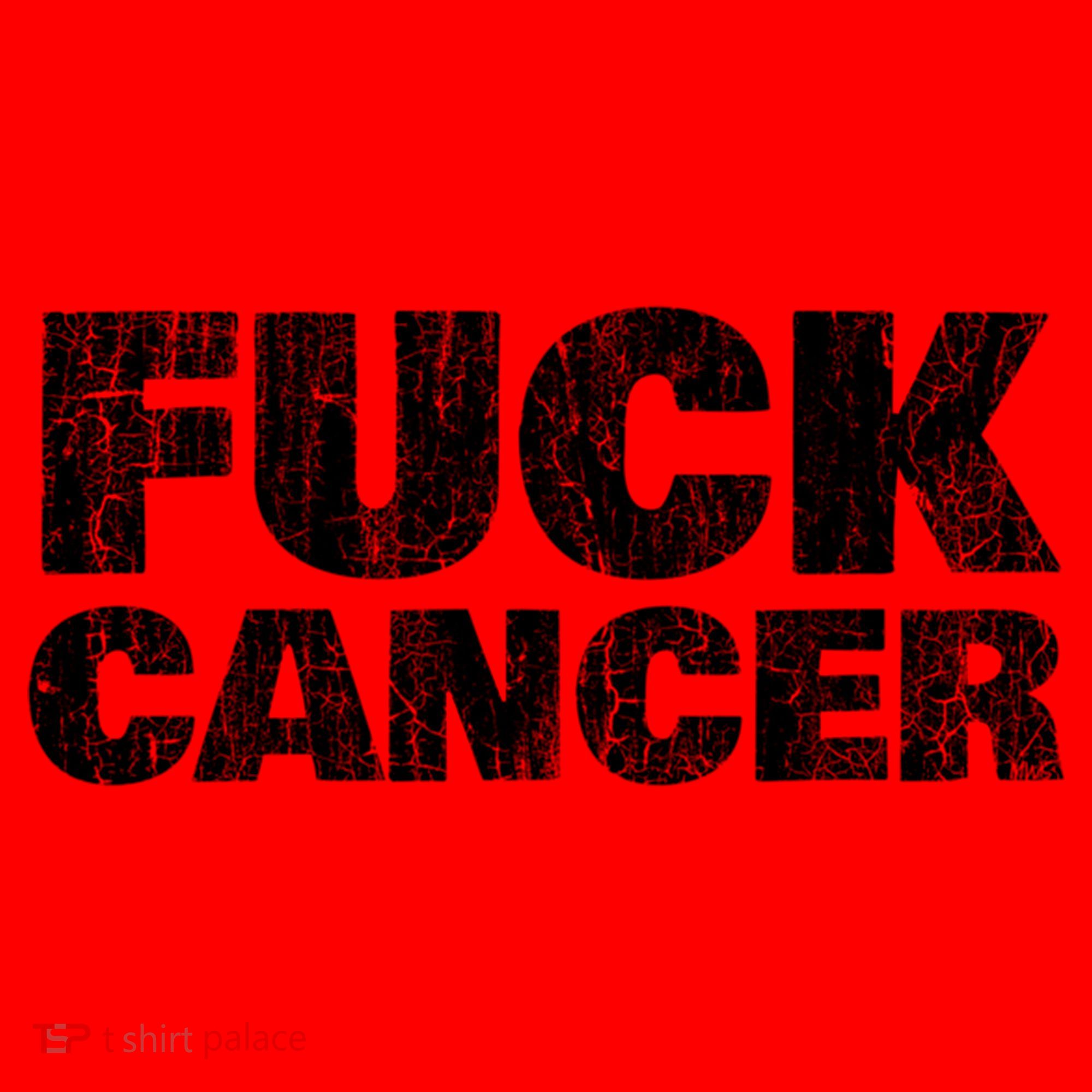 Fck Cancer Gift Cancer Sucks Awareness Survivor Support Cute Gift Santa Hat
