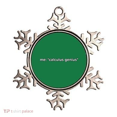 Funny Calculus Genius Meme Math Ornament