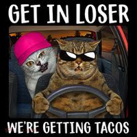 Funny Cats Get In Loser We're Getting Tacos Women's Tank Top thumb 5