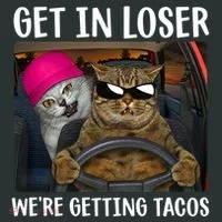 Funny Cats Get In Loser We're Getting Tacos Tank Top thumb 6