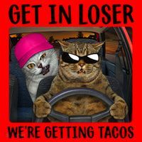 Funny Cats Get In Loser We're Getting Tacos Santa Hat thumb 1
