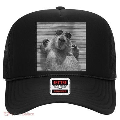 Funny Capybara Gifts Cool Capybara Selfie Hat