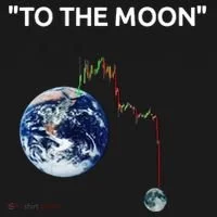Funny Crypto Going Down To The Moon Bucket Hat thumb 4