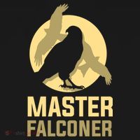 Falconry Cool Gift Master Falconer Gift Women's Hoodie thumb 2