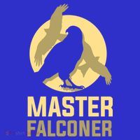 Falconry Cool Gift Master Falconer Gift Tumbler thumb 3