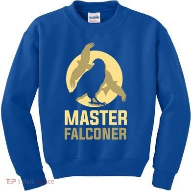 Falconry Cool Gift Master Falconer Gift Kids Sweatshirt