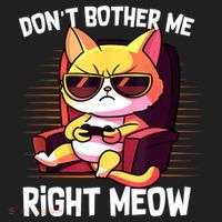 Funny Cat Gamer Don’T Bother Me Right Meow Video Games Lover Hat thumb 2