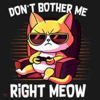 Funny Cat Gamer Don’T Bother Me Right Meow Video Games Lover Visor thumb 3