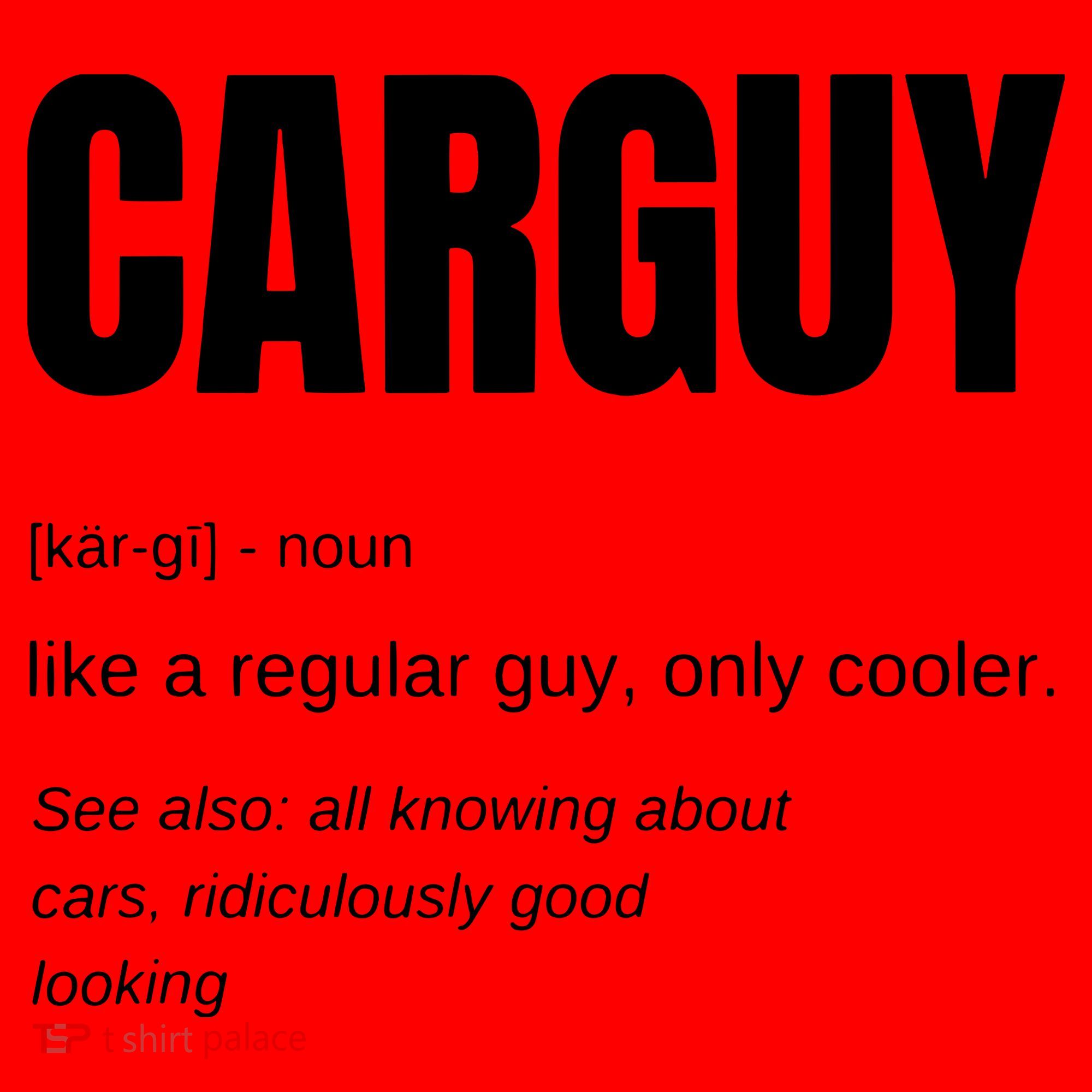 Funny Car Guy Gift CARGUY Definition Santa Hat