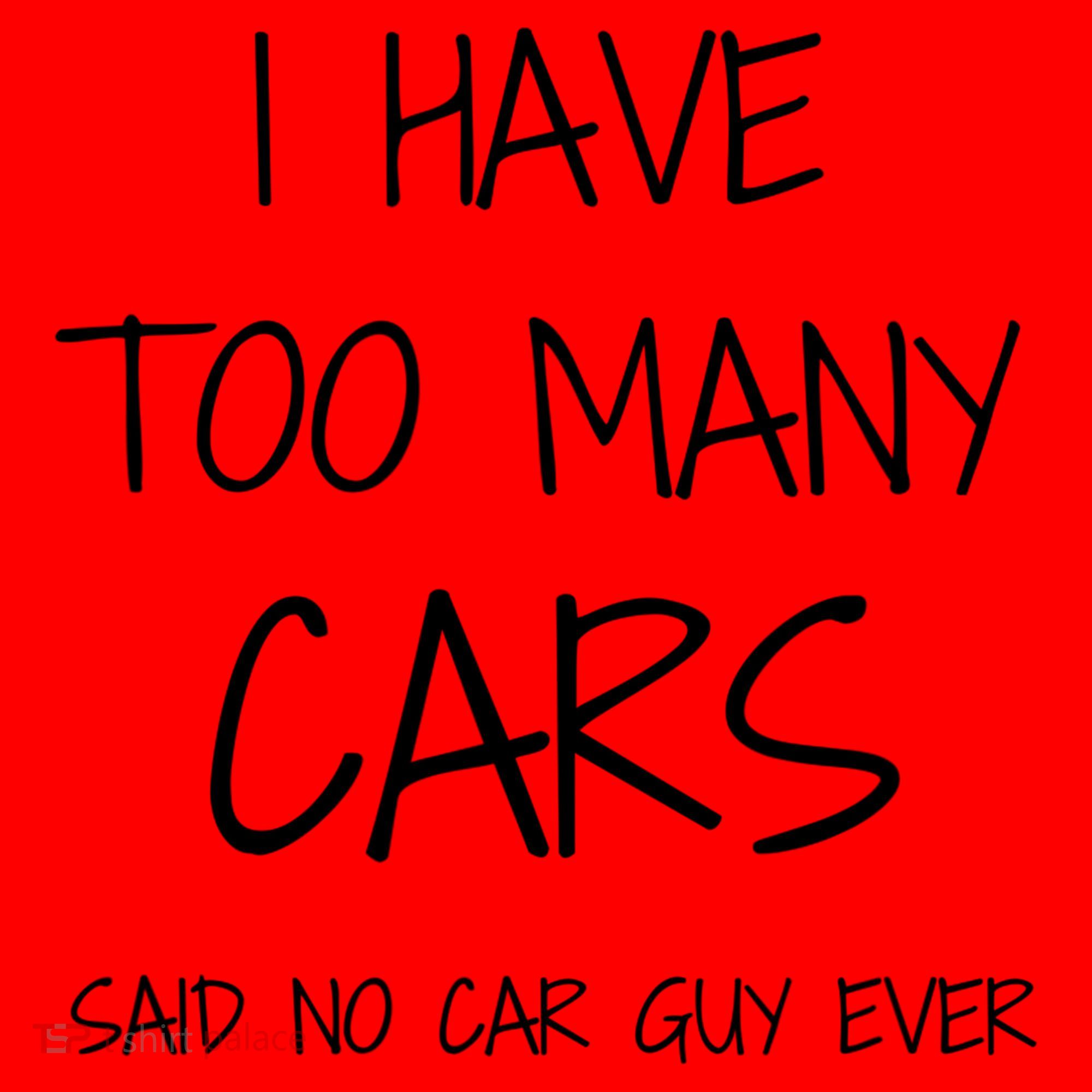 Funny Car Guy Gift I Have Too Many Cars Said No Car Guy Gift Santa Hat